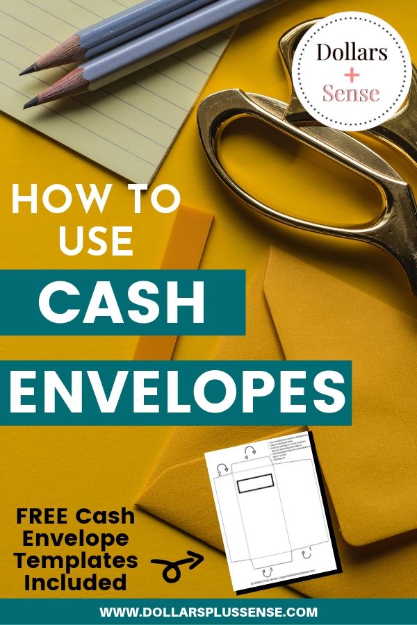 cash envelope system pin