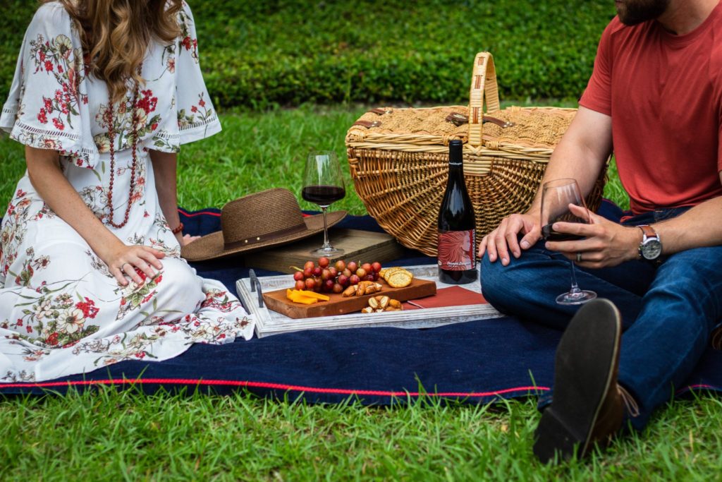 picnic cheap date ideas