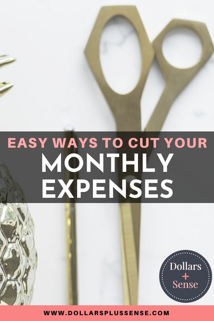 cutting your monthly expenses pin