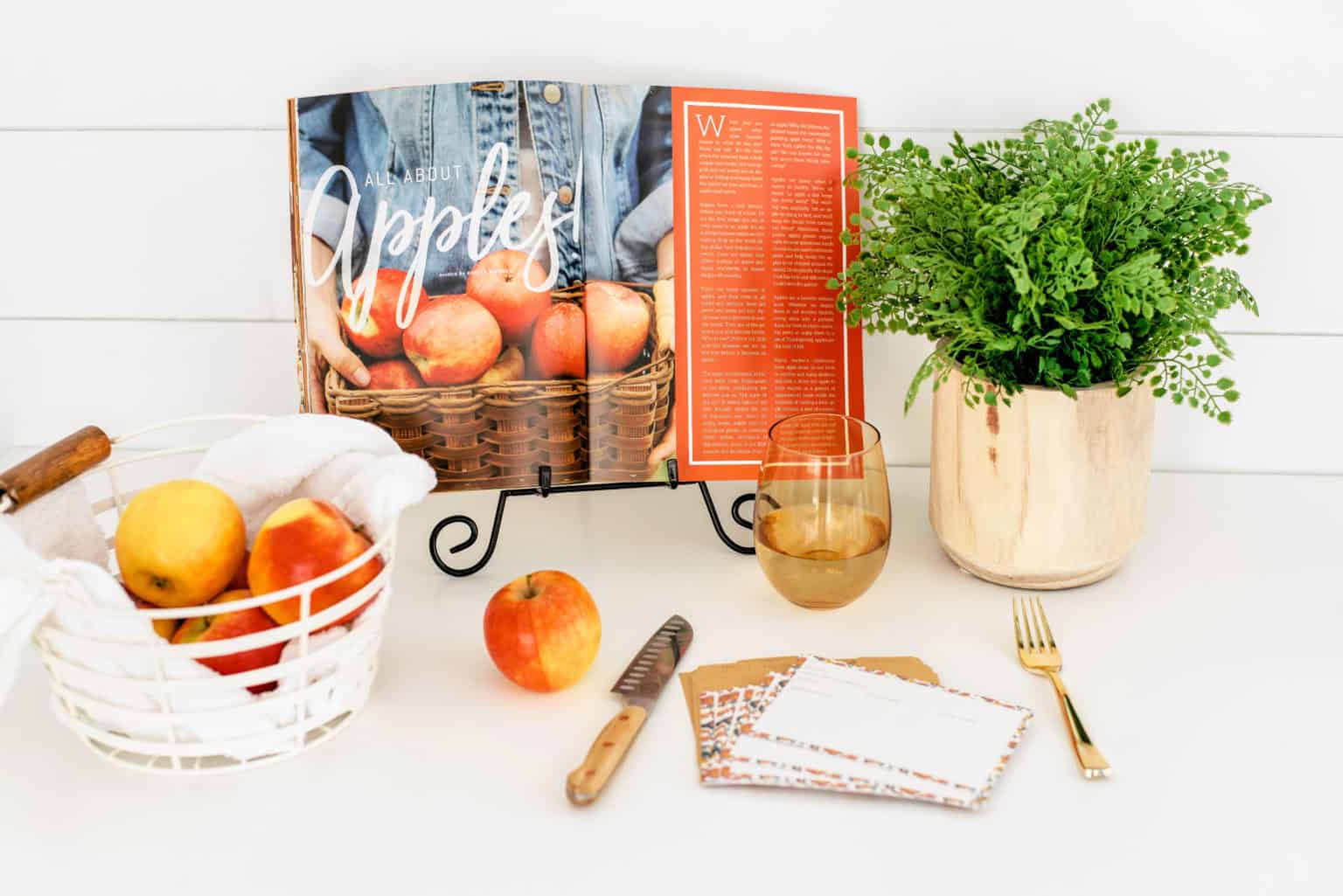 5 Easy Tips For Planning Meals On A Budget – DOLLARS PLUS SENSE