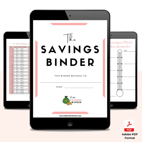 Savings Binder