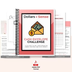 Cash Envelope Challenge